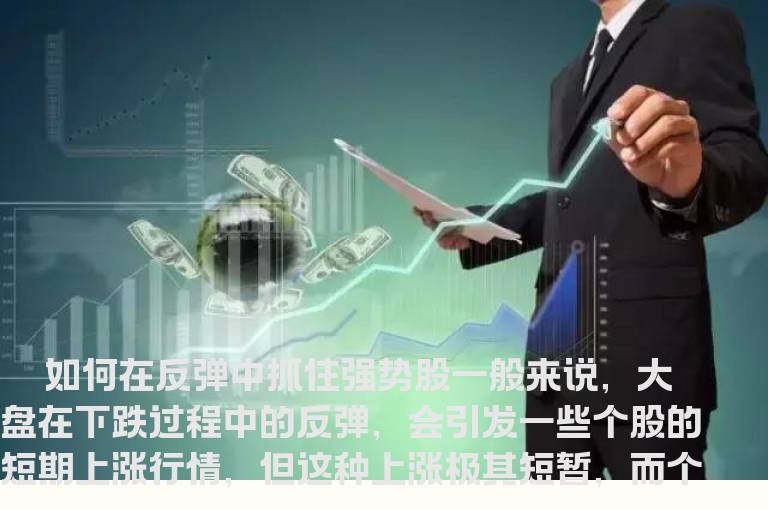 如何在反弹中抓住强势股