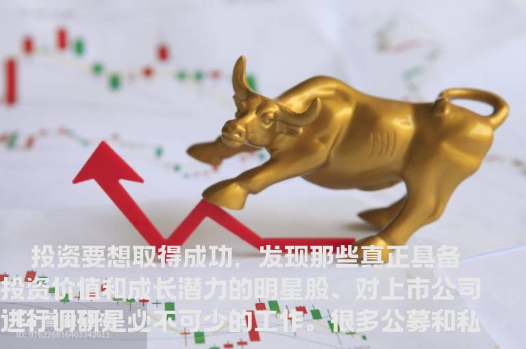 调研与选股