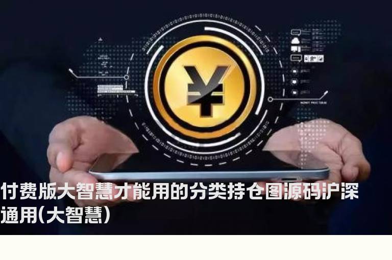 付费版大智慧才能用的分类持仓图源码沪深通用(大智慧)