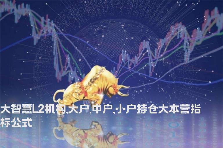 大智慧L2机构,大户,中户,小户持仓大本营指标公式