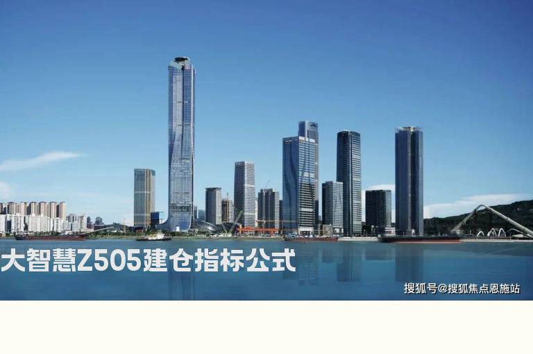 大智慧Z505建仓指标公式