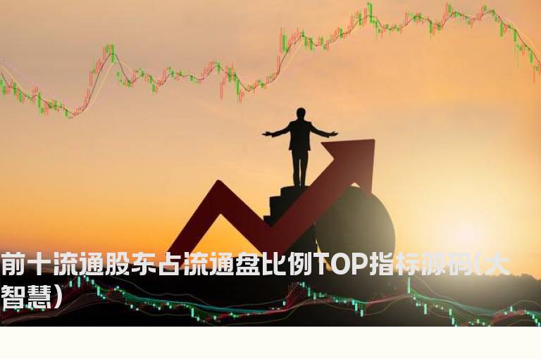 前十流通股东占流通盘比例TOP指标源码(大智慧)