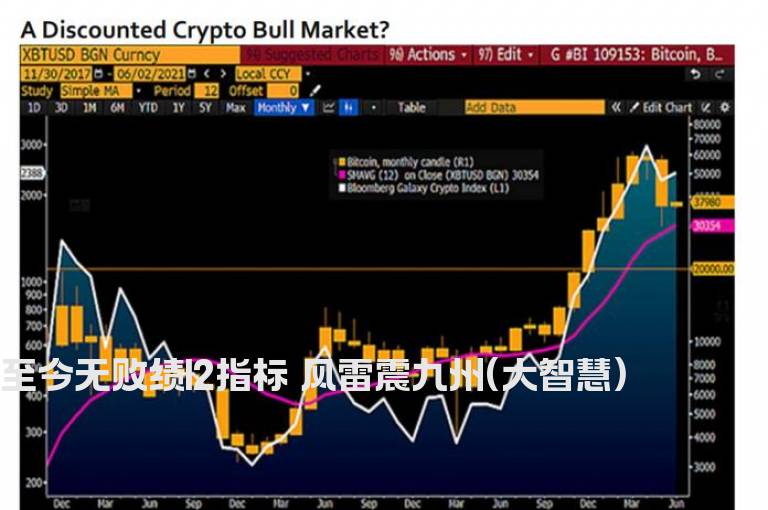 至今无败绩l2指标 风雷震九州(大智慧)