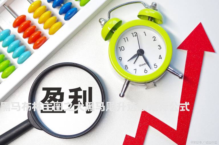 黑马布林主图之大黑马飚升选股指标公式