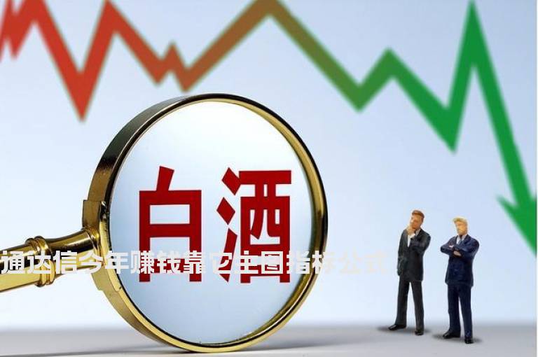 通达信今年赚钱靠它主图指标公式