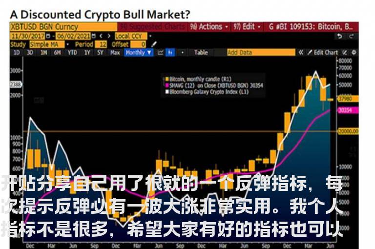 黄金反弹指标，最强反弹利润（附图无密码）