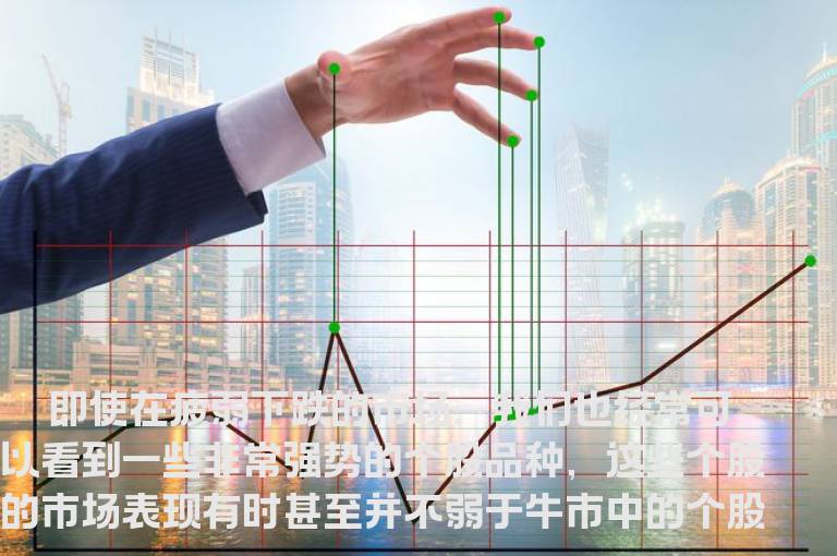 弱市选择个股的技巧