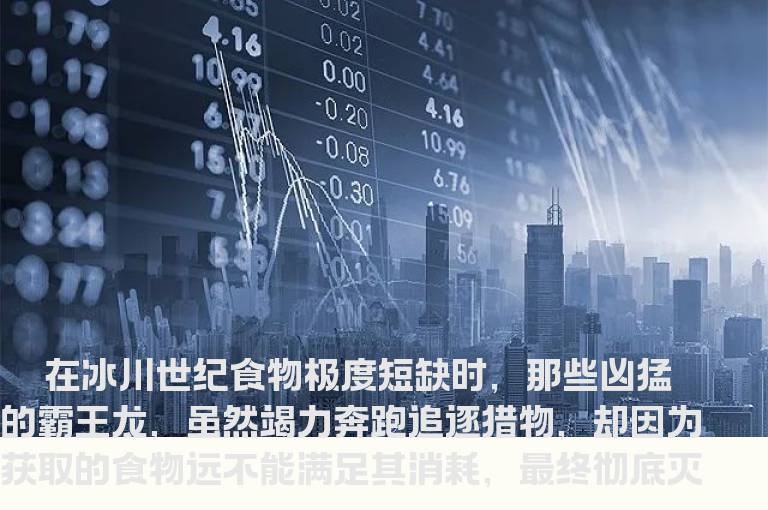 向鳄鱼学习投资制胜之道