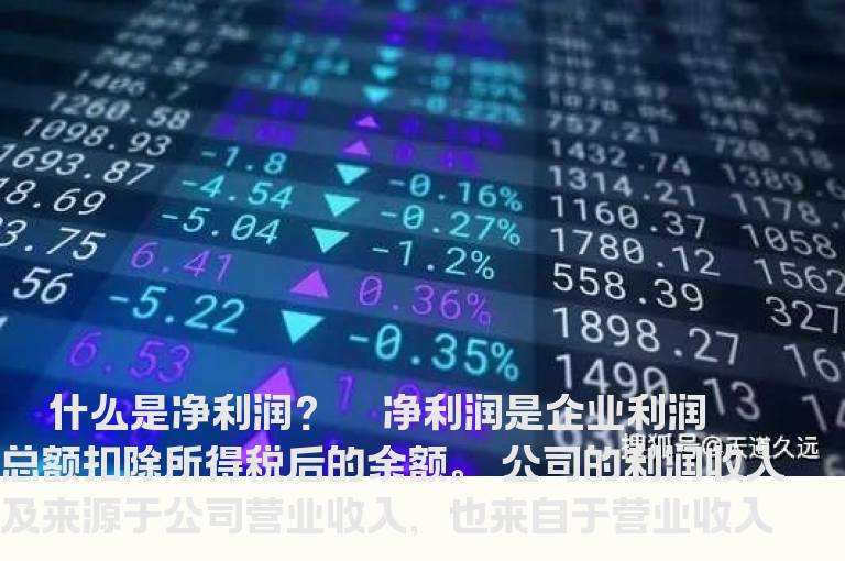 价值分析重要指标之净利润