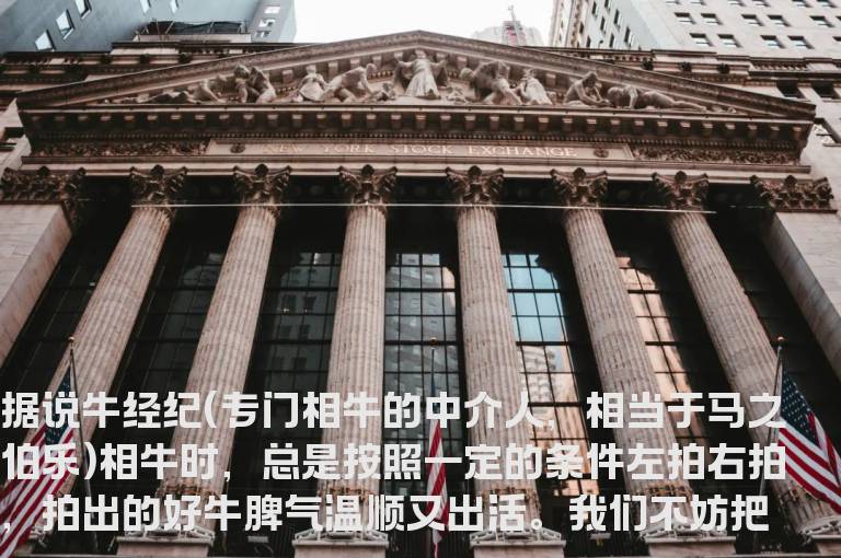 八招识别大牛股的基本原则