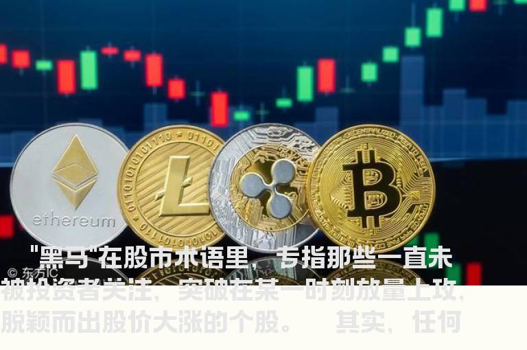 搜猎黑马的方法