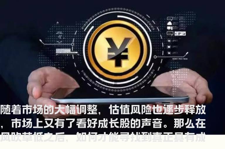 高手心得归纳共性成长股背后的若干“胎记”