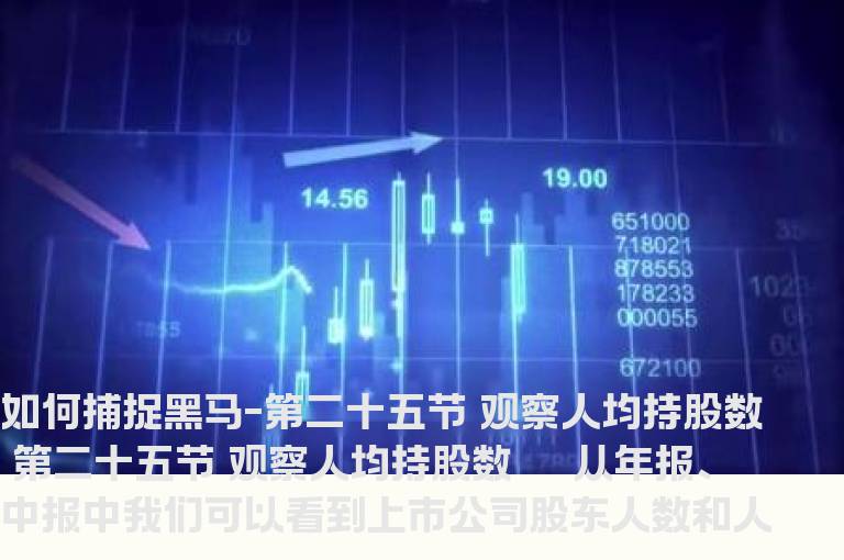 如何捕捉黑马-第二十五节 观察人均持股数