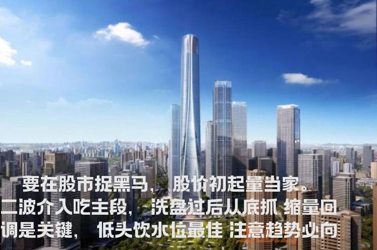 怎么才能股市捉黑马