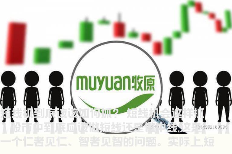 短线机到底该该如何抓？