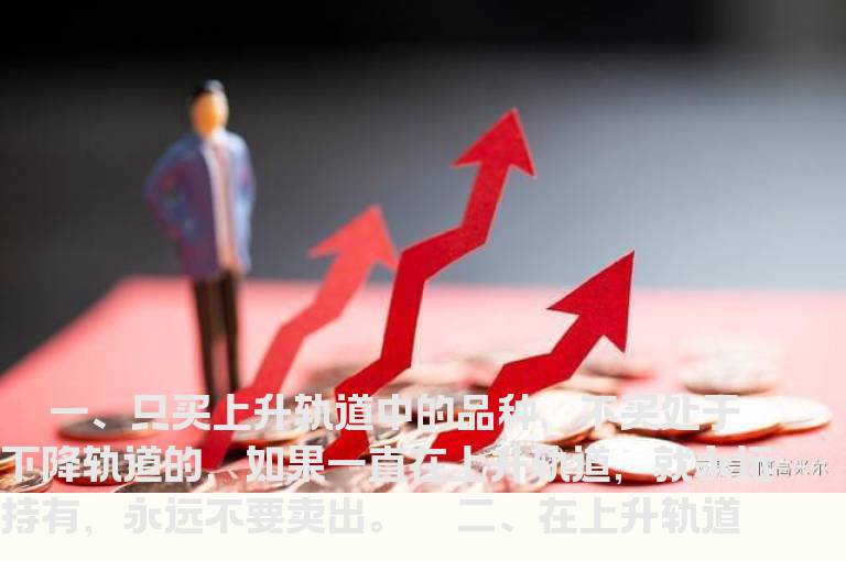 十三条投资铁律