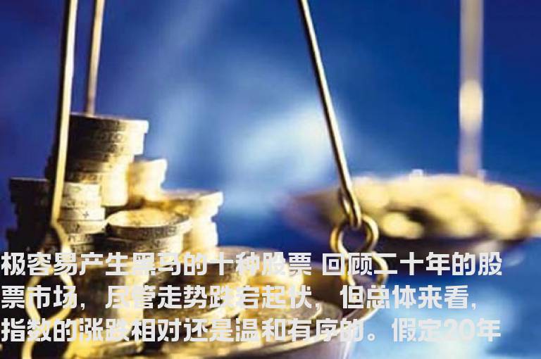 极容易产生黑马的十种股票