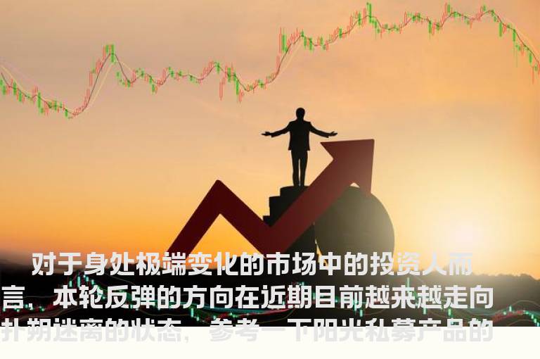 阳光私募抢反弹手法：迅速将仓位打满