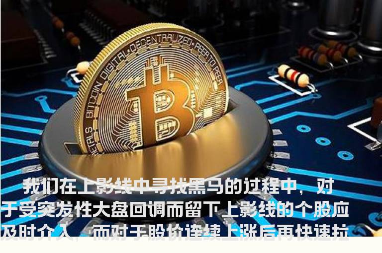 从下影线中找黑马