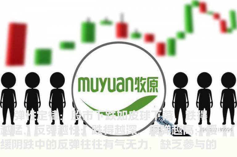 抢反弹的五个基本定律