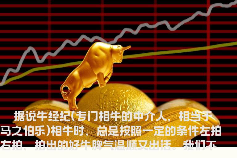 八招识别大牛股