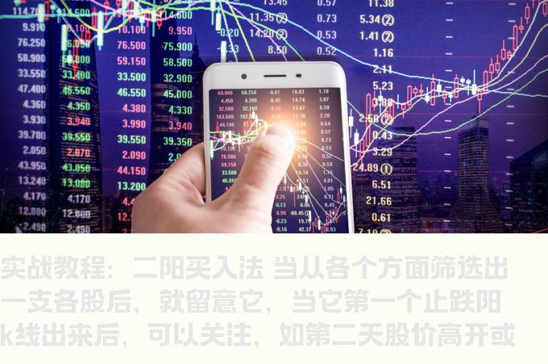 实战教程：二阳买入法