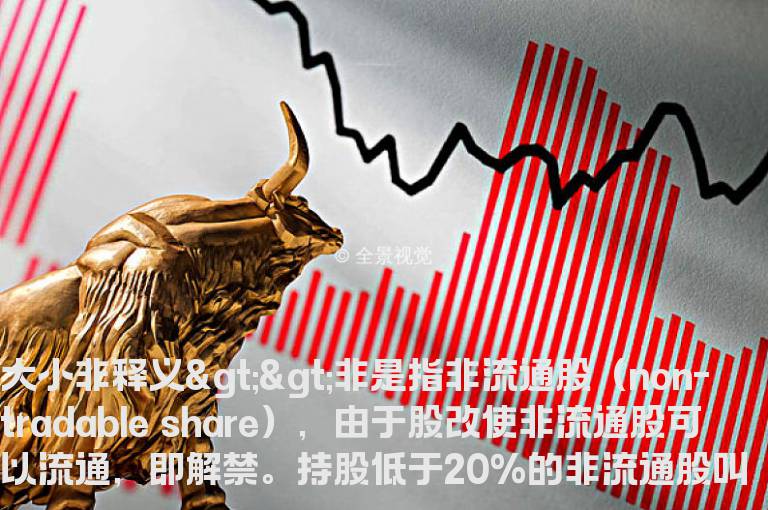 大小非是什么意思？有什么特点？[股票入门基础知识]