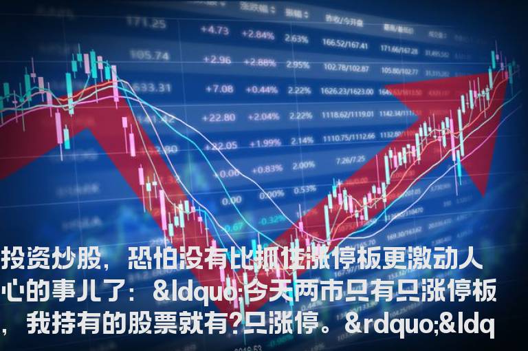 散户如何追涨停