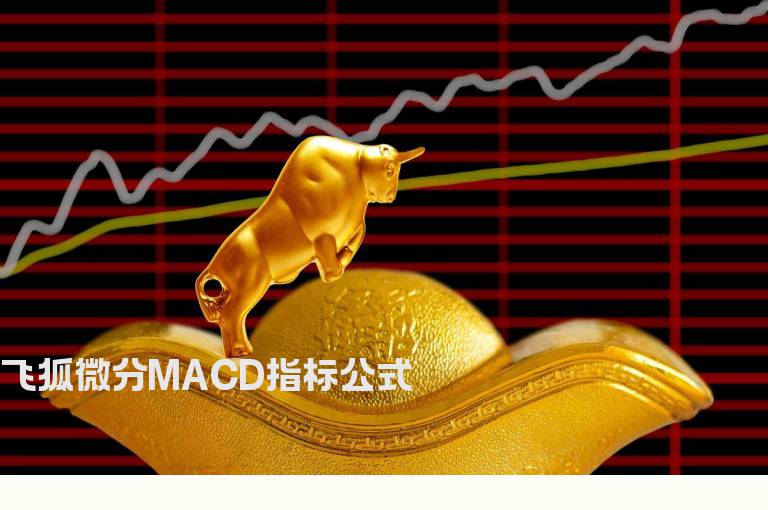 飞狐微分MACD指标公式