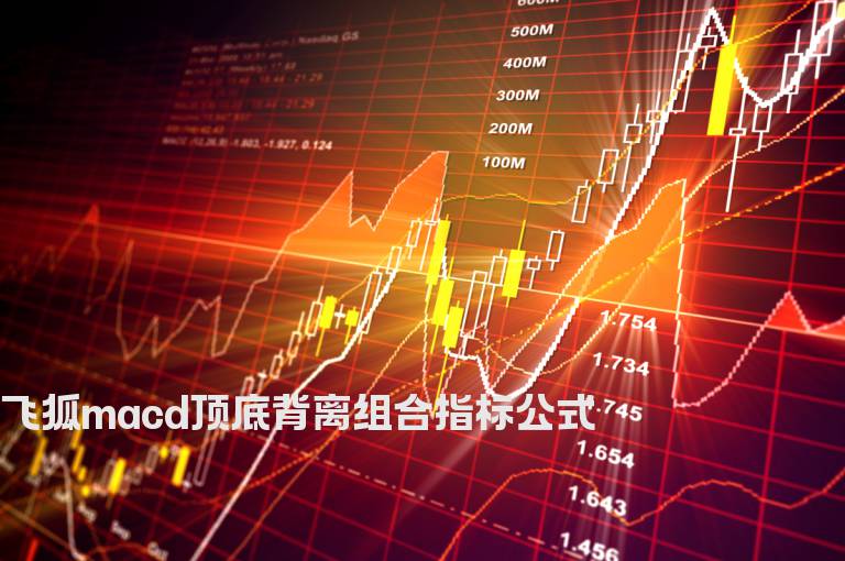 飞狐macd顶底背离组合指标公式