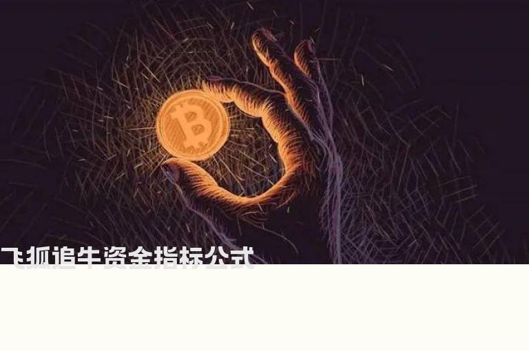 飞狐追牛资金指标公式