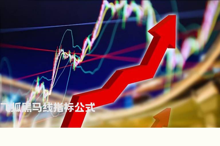 飞狐黑马线指标公式