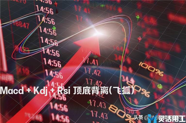 Macd + Kdj + Rsi 顶底背离(飞狐)