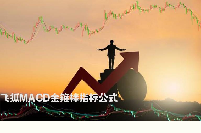 飞狐MACD金箍棒指标公式