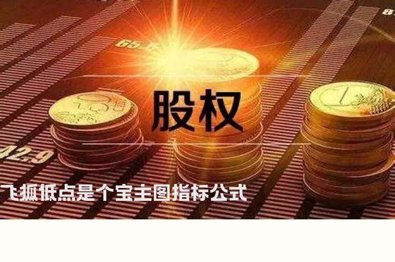 飞狐低点是个宝主图指标公式