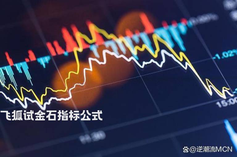 飞狐试金石指标公式