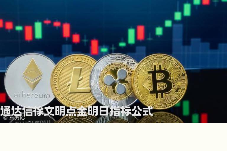 通达信徐文明点金明日指标公式