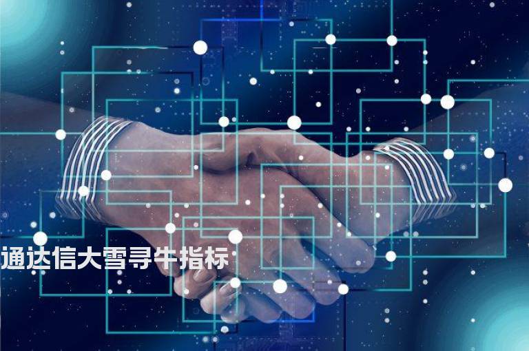 通达信大雪寻牛指标