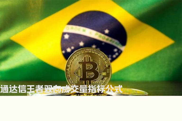 通达信王者双向成交量指标公式