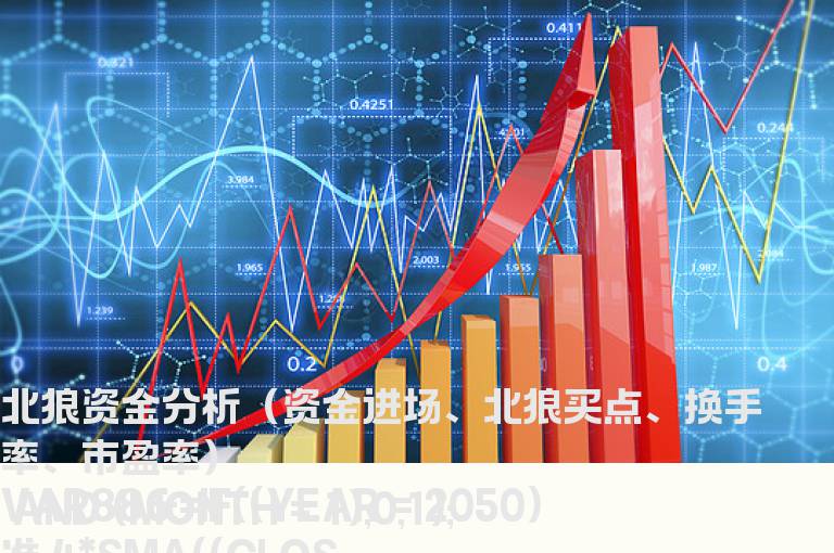 北狼资金分析（资金进场、北狼买点、换手率、市盈率）