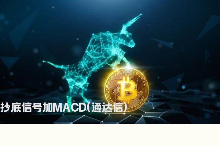 抄底信号加MACD(通达信)