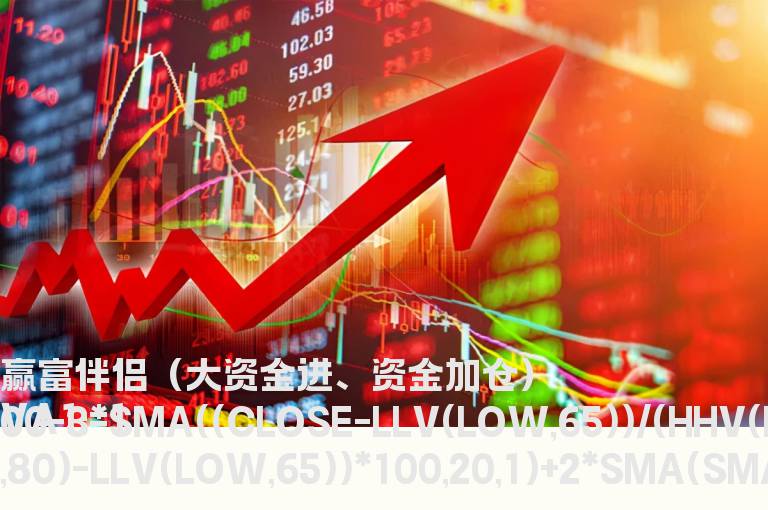 赢富伴侣（大资金进、资金加仓）