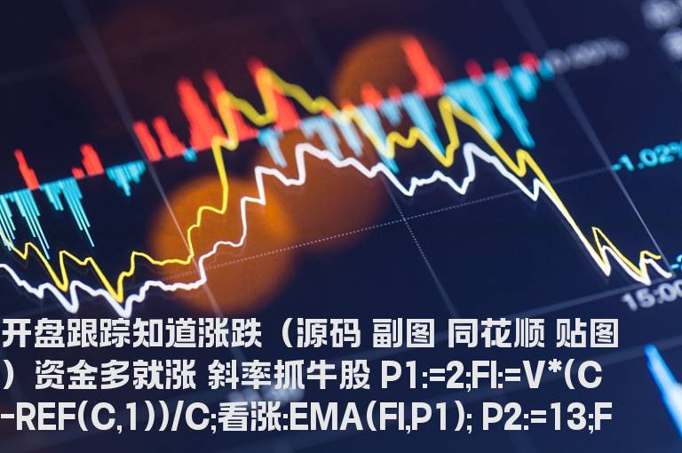 开盘跟踪知道涨跌（源码 副图 同花顺 贴图）资金多就涨 斜率抓牛股