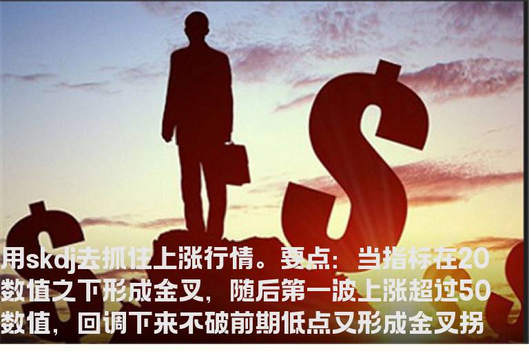 skdj指标公式源码