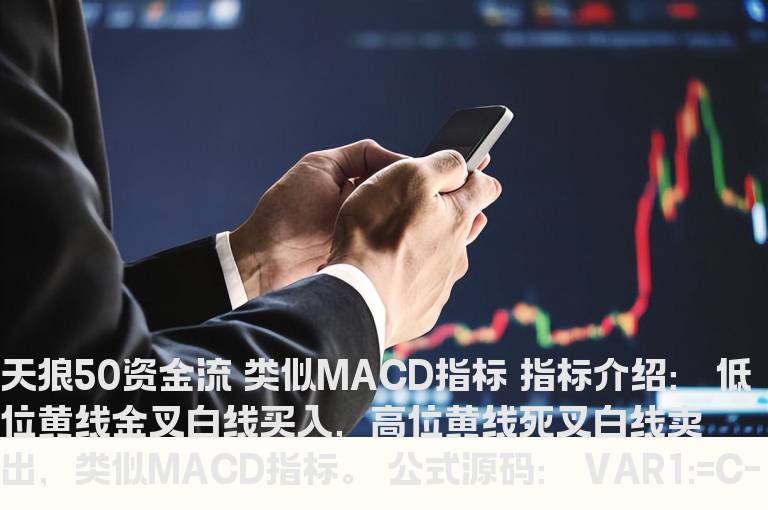 天狼50资金流 类似MACD指标