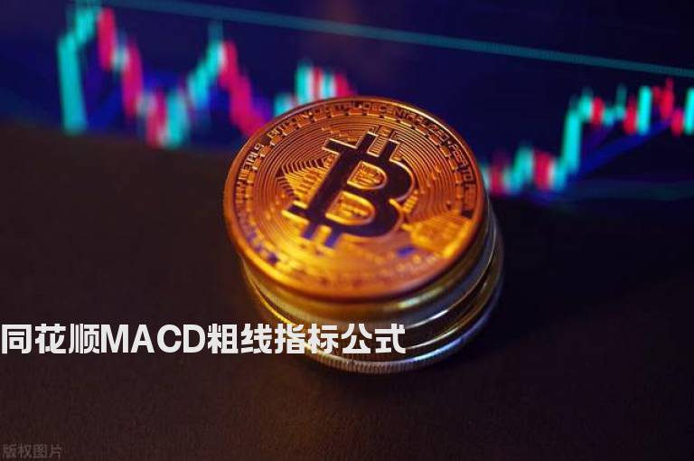 同花顺MACD粗线指标公式