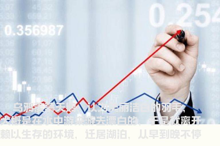 炒股感悟五则