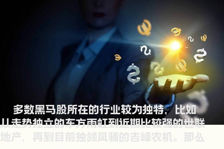 什么样的小盘股能成黑马