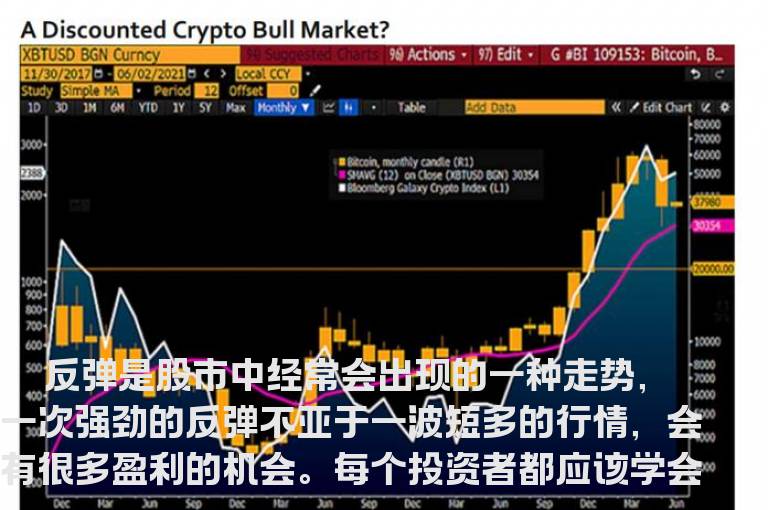 如何把握反弹中的机会