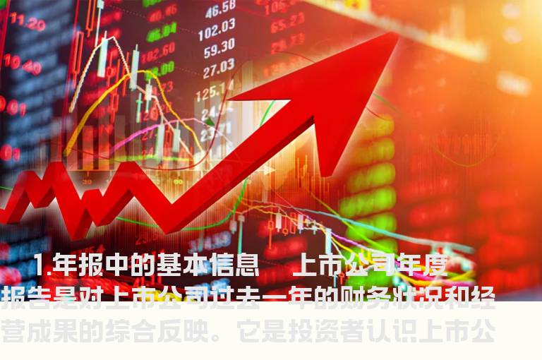 年报中的基本信息有哪些？
